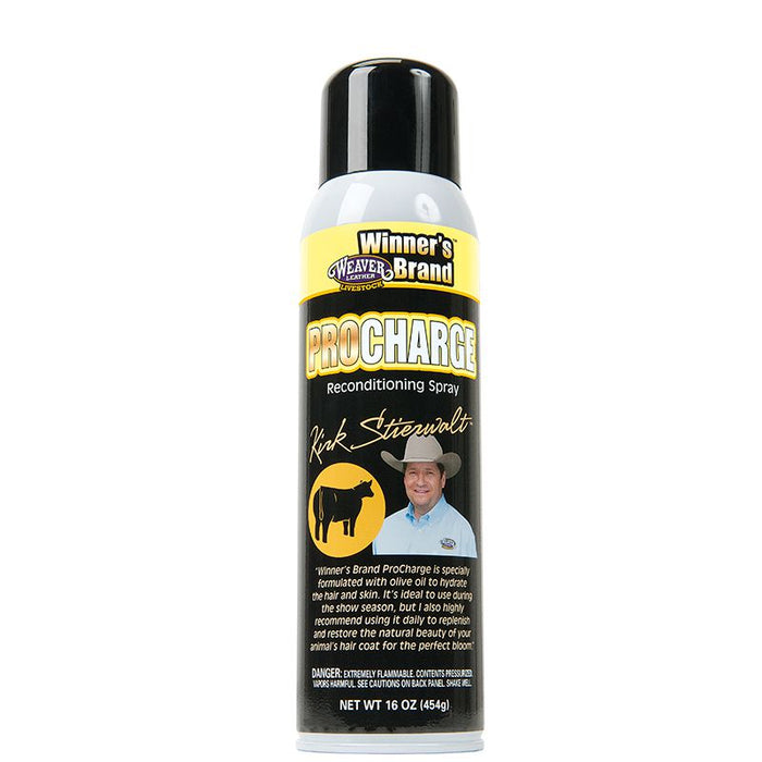 Leather Stiewalt ProCharge Reconditioning Spray