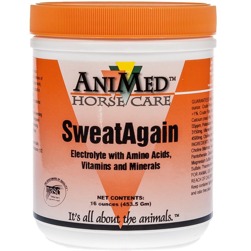 SweatAgain Electrolyte Blend 16oz