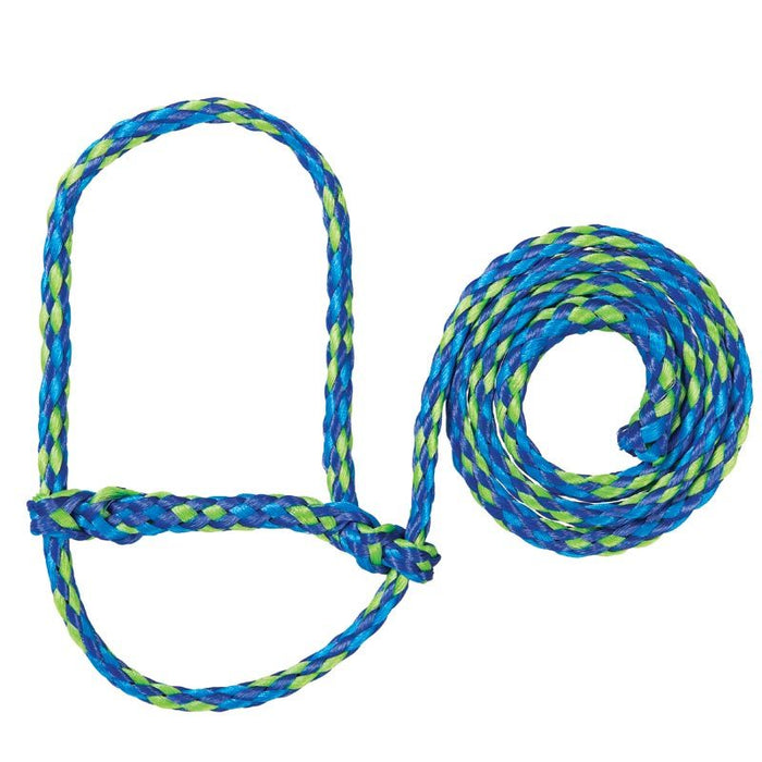 Leather Poly Rope Sheep Halter Lime Green/Hurricane Blue/Royal Blue