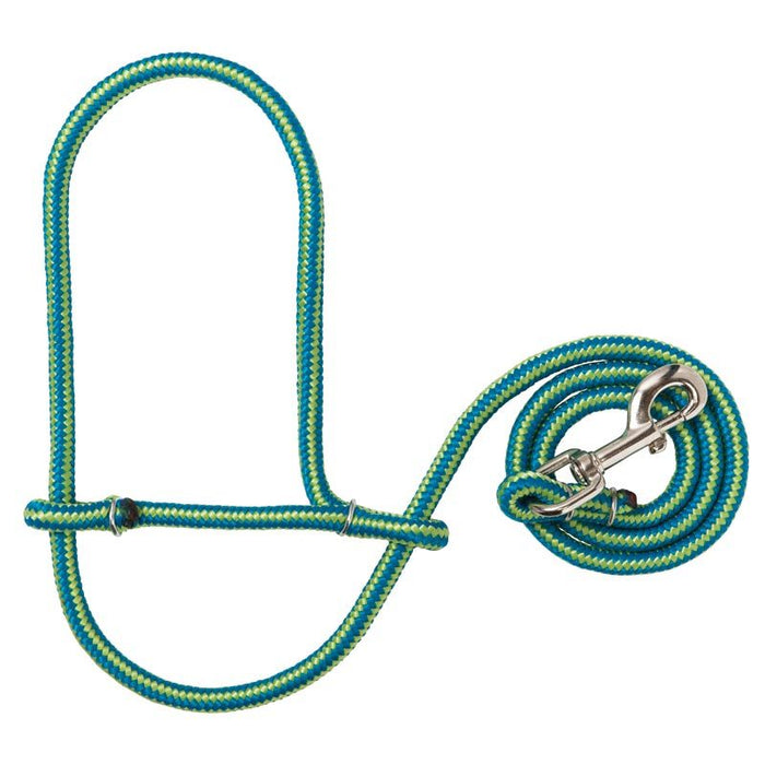 Leather Sheep Rope Halter with Snap Blue/Lime