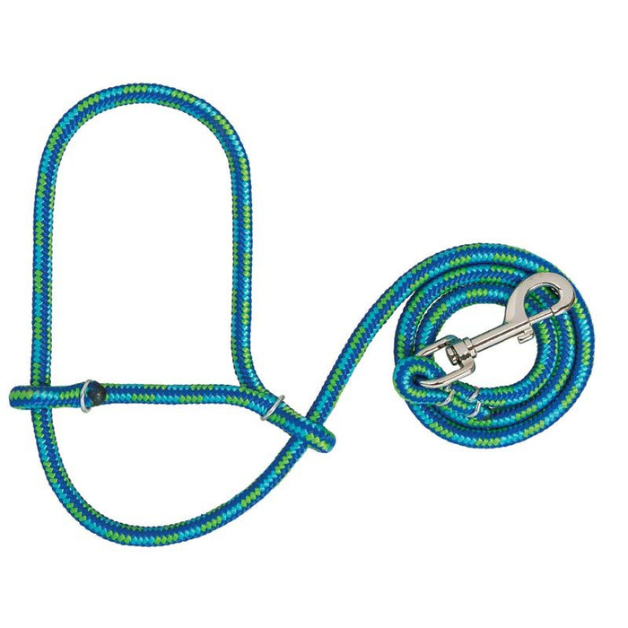 Leather Sheep Rope Halter with Snap Lime/Hurricane Blue/Royal Blue