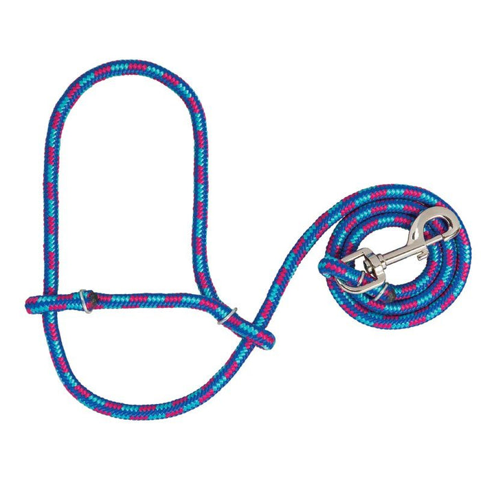 Leather Sheep Rope Halter with Snap Hurricane Blue/Royal Blue/Rose