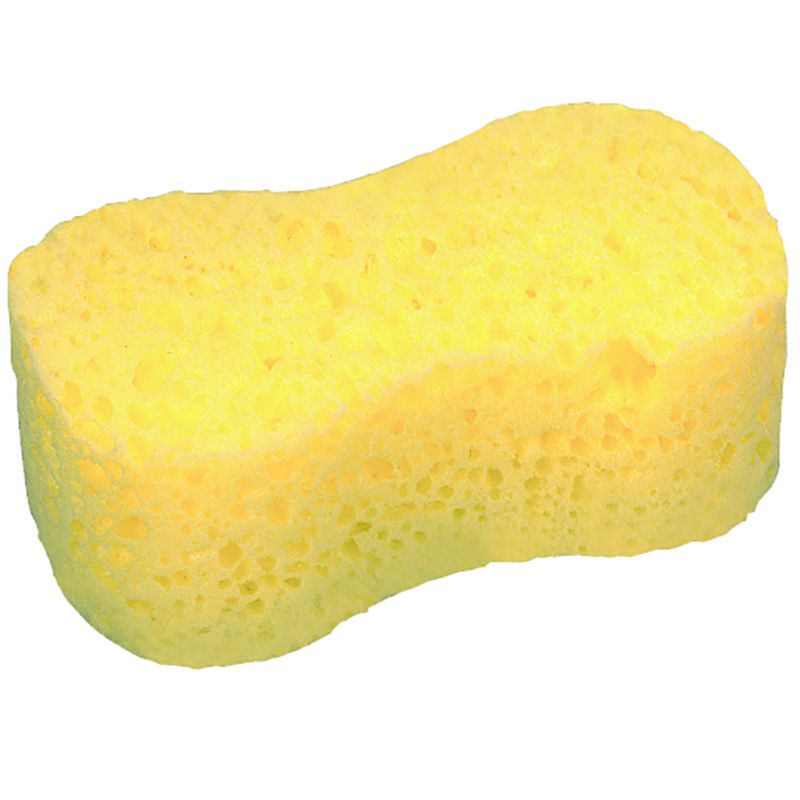 All Purpose Sponge