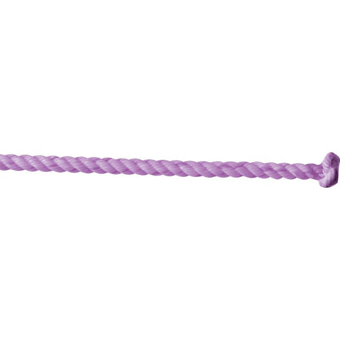 NRS 2-Ply Goat String - 1/4 Scant Rope In Purple, 56 Inches For Roping Practice