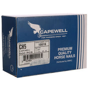 #5 City Head Nails - 500 Ct Box