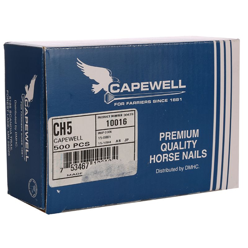 #5 City Head Nails - 500 Ct Box