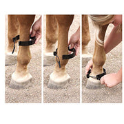 Pawing Ankle Bands