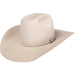 American 200X Silver Belly 4-1/4" Brim Felt Cowboy Hat