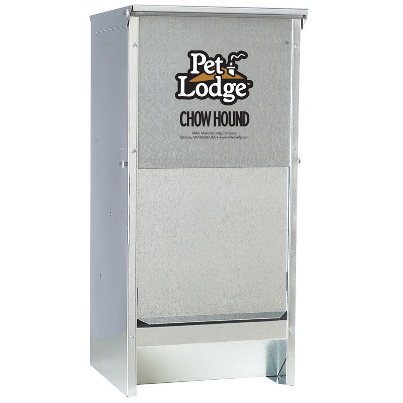 Dog Feeders And Waterers