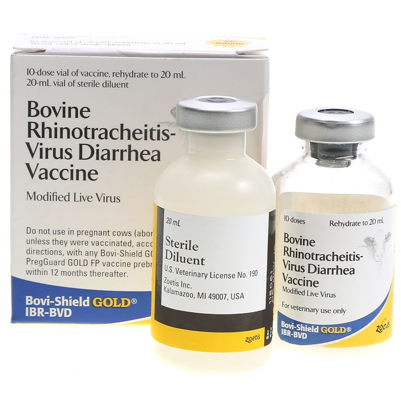 Bovi-Shield Gold IBR/BVD 10 Dose
