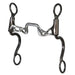 1 1/4" Low Square Ported Chain 6 1/2" Cheek Bit