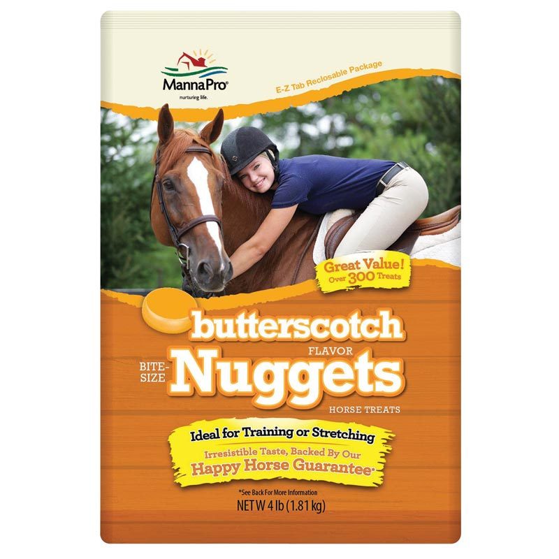 Bite-Size Nuggets Butterscotch 4lb
