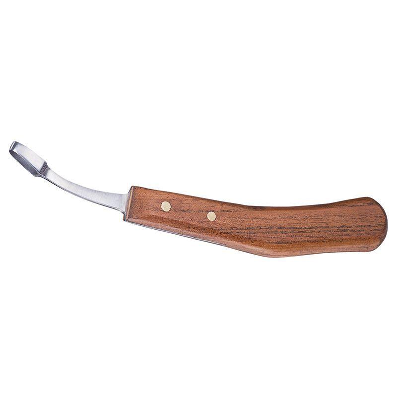 Abscess Loop Knife