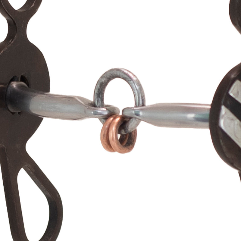 Cowboy Tack Tyler Magnus Life Saver Concho Short Shank Bit