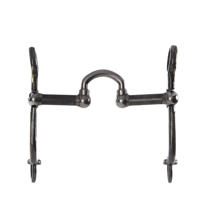 Brandon Anthony Low Port Silver Short Shank Bit