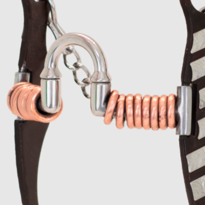 Cowboy Tack Tyler Magnus Copper Roller Correction Fanny Cheek Long Shank Bit