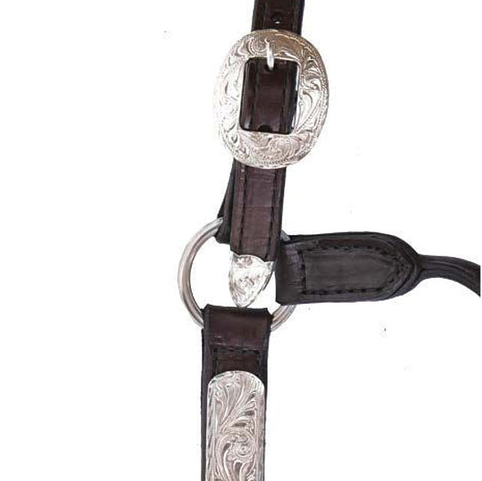 Reinsman Engraved Silver Show Halter