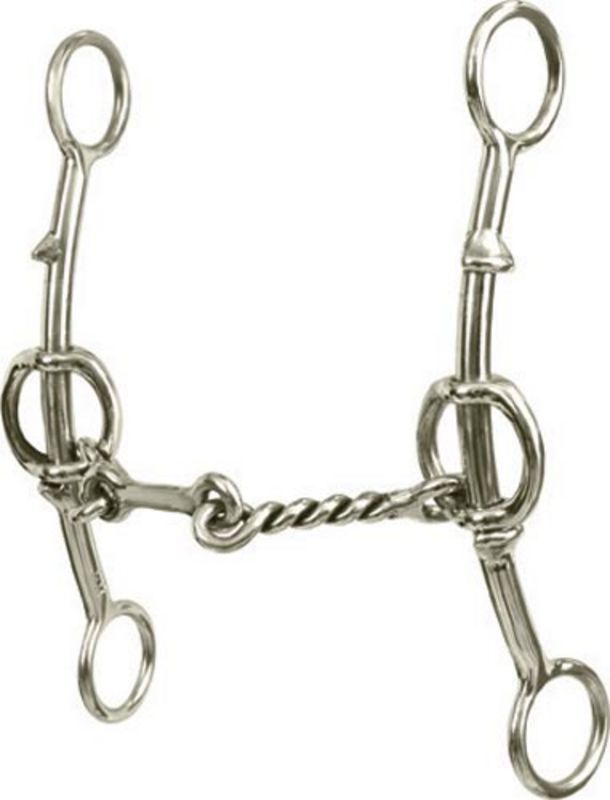 Carol Goosetree Dr.Bristol Short Shank Double Gag Bit