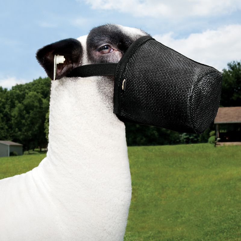 Weaver Leather Leather Sheep/Goat Muzzle Black
