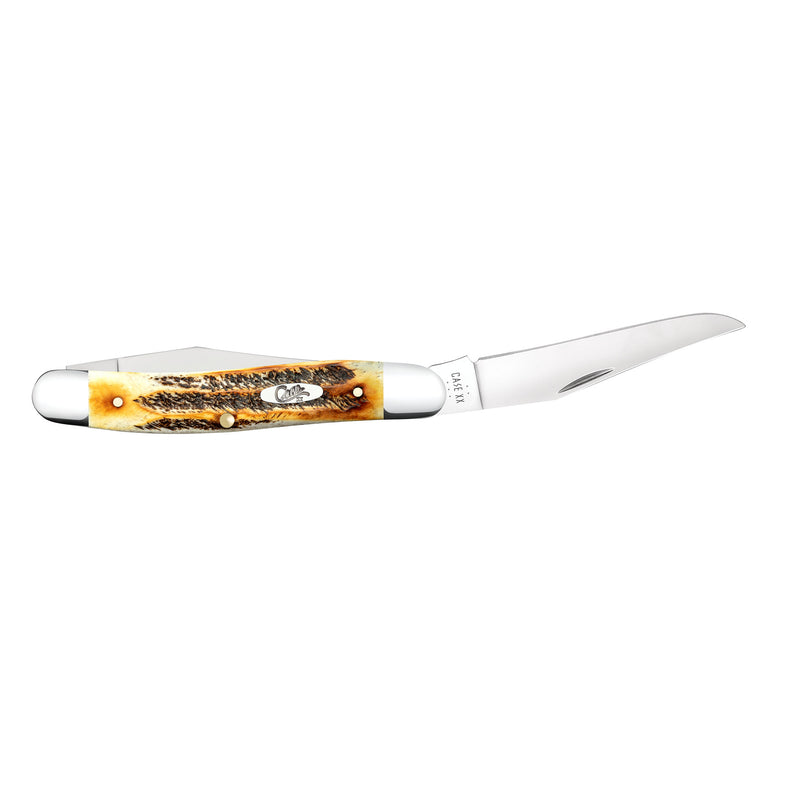 Case 6.5 BoneStag - Muskrat