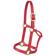 Large Traditional Nylon Halter