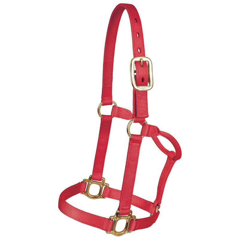 Large Traditional Nylon Halter