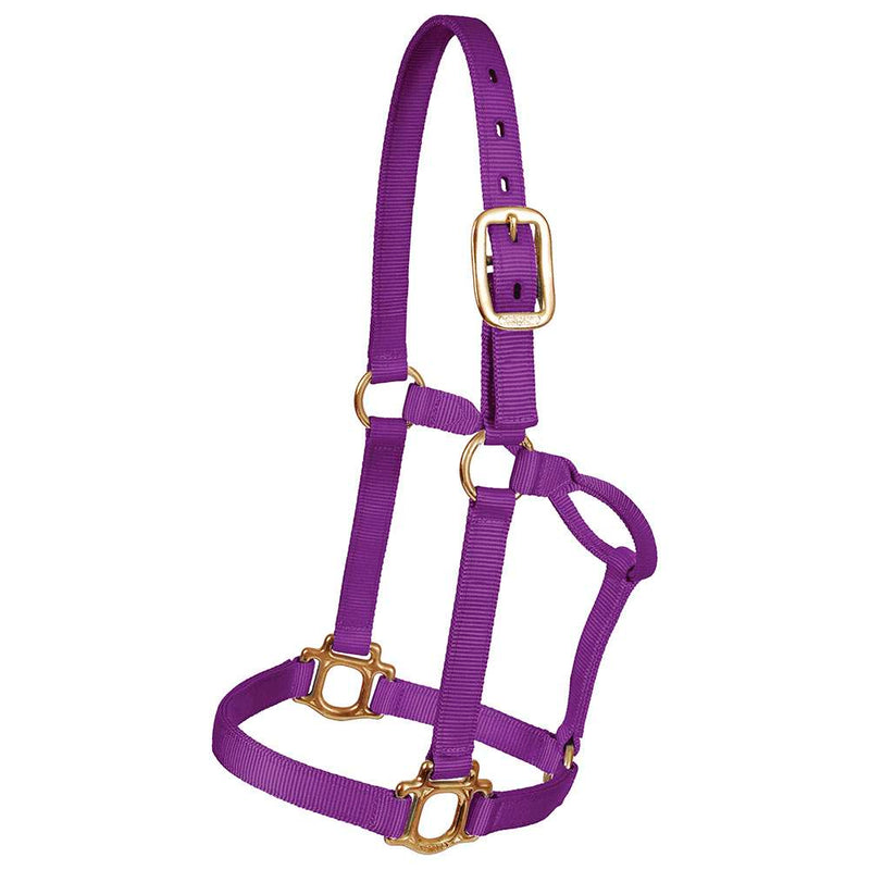 Regular Traditional Nylon Halter