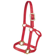 Yearling Traditional Nylon Halter