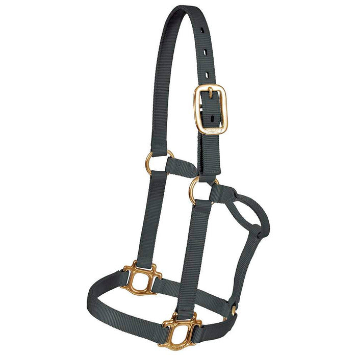 Colt Traditional Nylon Halter