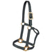 Colt Traditional Nylon Halter