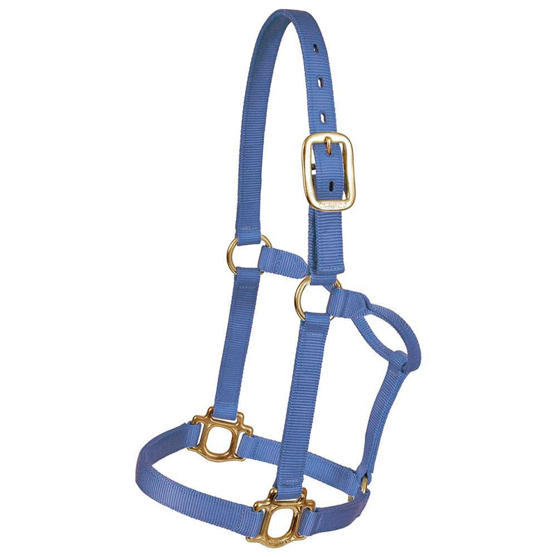 Colt Traditional Nylon Halter