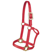 Colt Traditional Nylon Halter