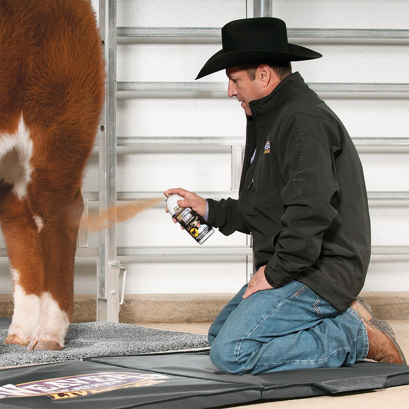 Weaver Leather Leather Stierwalt ProTouch Fawn Touch Up Paint