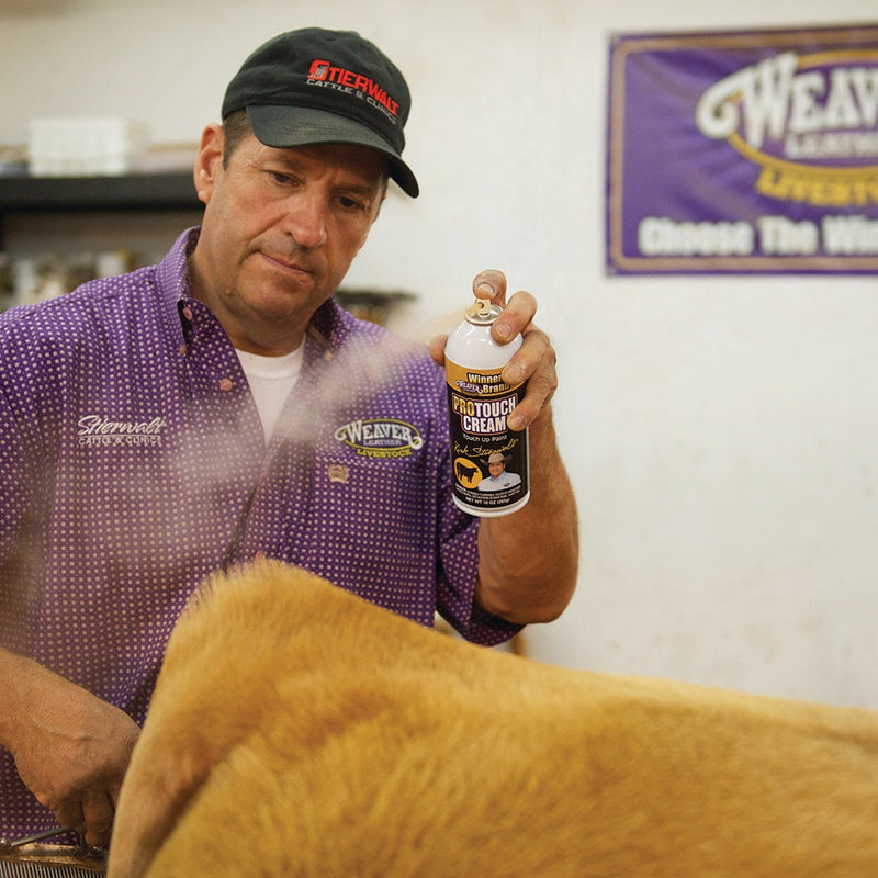 Weaver Leather Leather Stierwalt ProTouch Cream Touch Up Paint