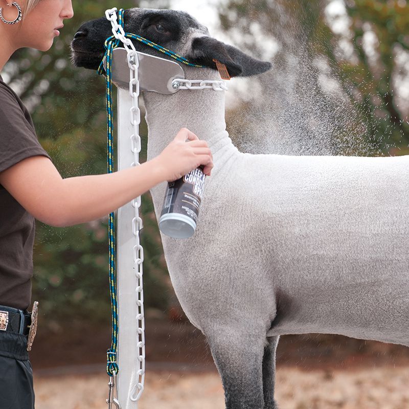 Weaver Leather Leather Sheep & Goat Conditioning Spray