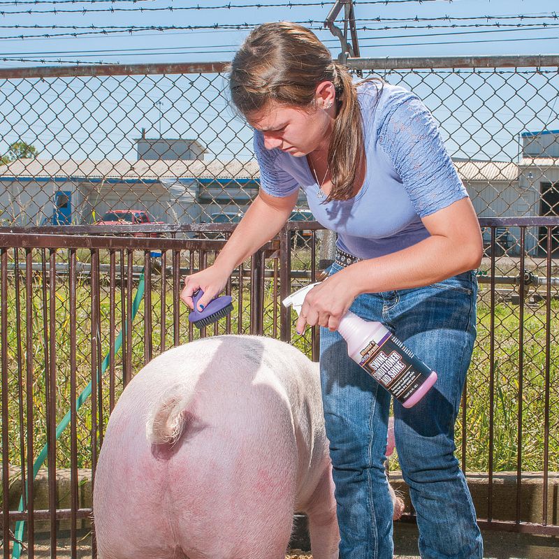 Weaver Leather Leather Swine Conditioner and Shine Quart
