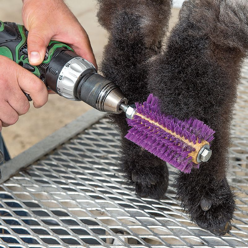 Weaver Leather Leather Mini Roto Brush Purple