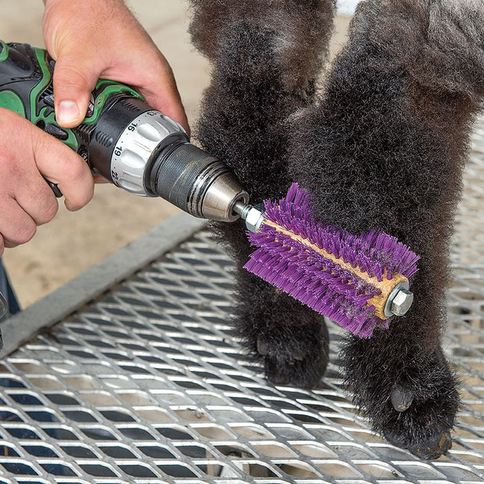 Weaver Leather Leather Mini Roto Brush Purple