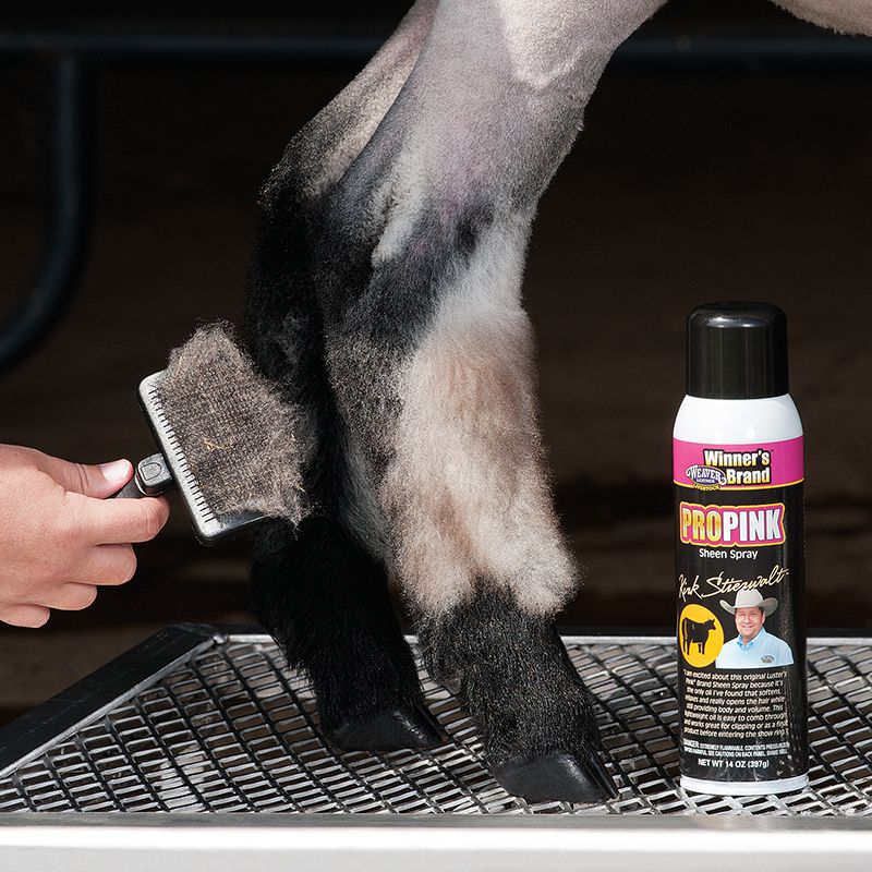 Weaver Leather Leather Self-Cleaning Slicker Brush