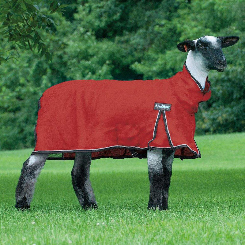 Weaver Leather Leather ProCool Mesh Sheep Blanket Medium Red