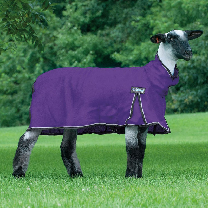 Leather ProCool Mesh Sheep Blanket XLarge Purple