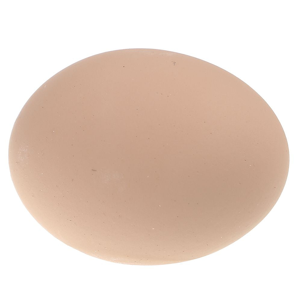 Poultry Accessories Other
