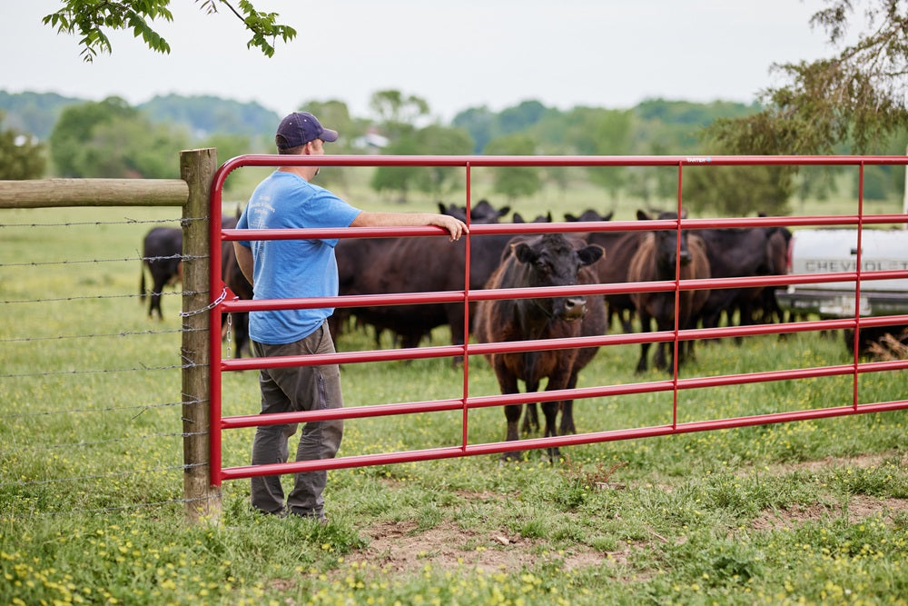 Tarter 16ft 6-Bar American Gate