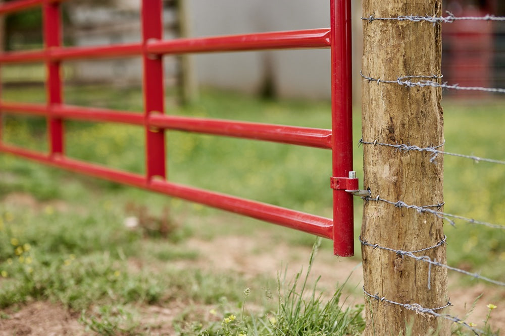 Tarter 16ft 6-Bar American Gate
