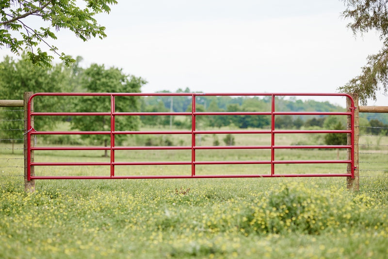 Tarter 6ft 6-Bar American Gate