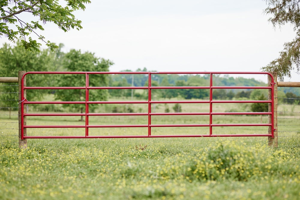 Tarter 6ft 6-Bar American Gate