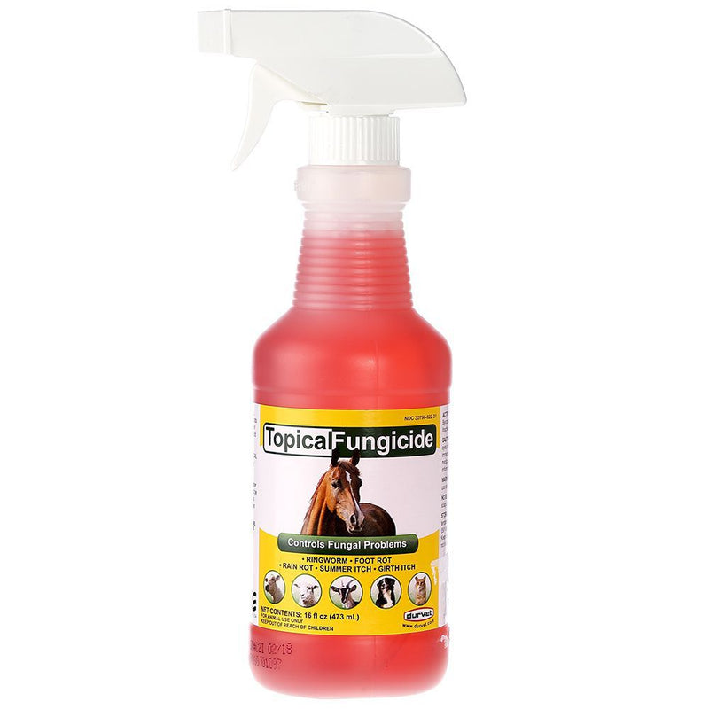 Topical Fungicide with Sprayer 16oz