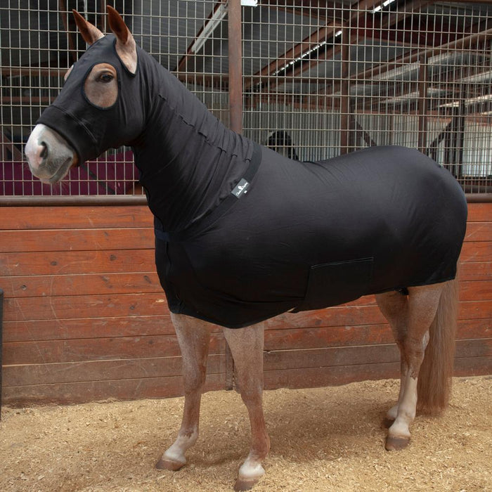 Equino saltando com corpo ágil e símbolo de reflexos nítidos | Vetor Equino saltando com corpo ágil e símbolo de reflexos nítidos | Vetor