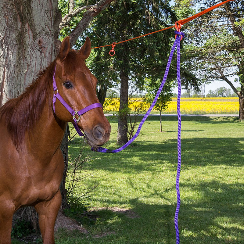 Tough 1 Two Horse No-Knot Picket Line Kit