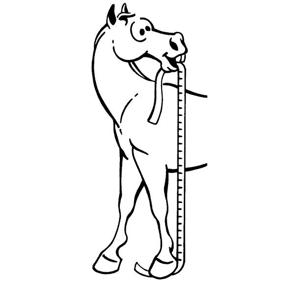Tough 1 Sure Measure Height & Weight Tape